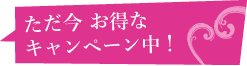 ただ今 お得なキャンペーン中！