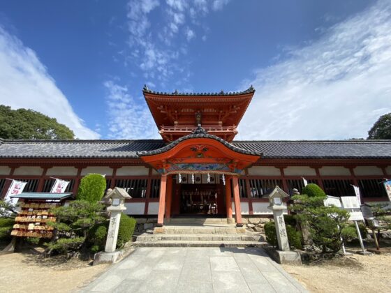 愛媛・松山でおすすめの神社挙式2選